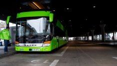 FlixBus възобновява дейността си в България
