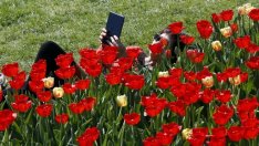 Малки и средни български фирми продават продукцията си онлайн в над 30 държави