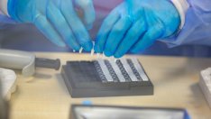 Проф. Коста Костов: Все още сме в най-долната част на кривата