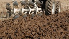 Фермери очакват тежка година за зърно-производството