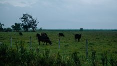 За първи път в България: АДСИЦ се преобразува в акционерно дружество*