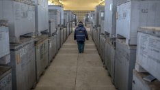 Росатом, Framatome и GE Steam Power ще участват заедно за „Белене“ 