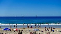 Плажът "Слънчев бряг - север" е с нов наемател