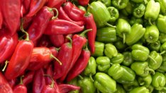 Еврокомисията получи 320 хил. предложения за реформа на земеделската политика