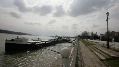 Кои бизнес сектори имат потенциал за развитие във Видин?