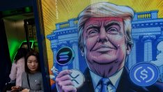 Край на еуфорията: Портфейлите с биткойн милиони намаляват с 22 хиляди, откакто Тръмп е на власт