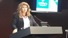 Йотова: преди решение на парламента за АЕЦ "Белене" всичко друго е предположение