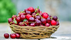 Фермерите в Кюстендил очакват да приберат добра черешова реколта