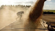 Бразилия се готви да е победител в глобалната търговска война