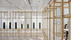 Въглеродно улавяне чрез микроводорасли: ESG ангажираност за бизнеса, заложена в естетичен дизайн