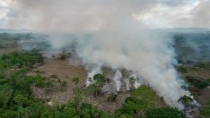 Бразилия вероятно ще надмине целите за климата от Парижкото споразумение