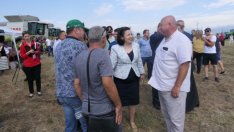 Десислава Танева:  Общият добив на пшеница ще бъде около 5,4 мнл. тона