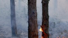 България изостава критично в мерките за намаляване на вредните емисии