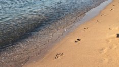 Mобилни екипи ще следят за чистотата на плажовете и морската вода