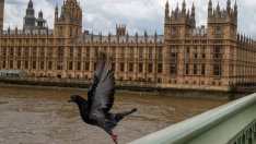 Политиката е изстискваща професия