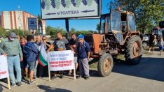 Производители на винено грозде протестираха в Поморие