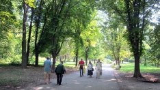 Време ли е за по-висока вноска за пенсионно осигуряване