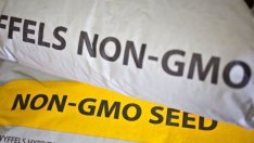 Генен инженер: Няма много изследвания за ГМО, но ЕС има стриктен контрол