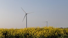 МАЕ: Обещанията на COP28 за фосилните горива няма да ограничат затоплянето до 1,5°C