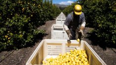 След коронакризата някои работни места ще изчезнат, твърди икономист