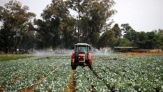 Гечев: Стратегическият план за земеделието ще подобри стандарта на живот в 215-те общини