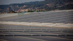 Уроци от дотком балона за ESG инвестициите