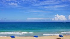 Летният сезон ще приключи с около 20% ръст на приходите