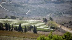 Израелската армия одобри план за "офанзива" в Ливан