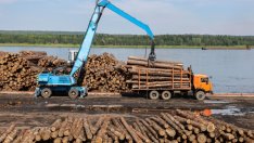 Дърво, стомана, пластмаса - как най-важните суровини стават все по-оскъдни и скъпи