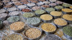 Цените на храните в света са намалели за втори пореден месец през октомври