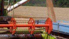 До края на юли се заявяват обработваемите земи за новата стопанска година