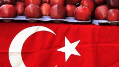 Турция може да загуби до 1 млрд. долара през 2016 г. заради руските санкции