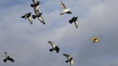 Дроните - ключът към икономиката на споделянето