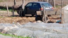 Агросекторът е сочен като втори по значимост отрасъл за икономиката след туризма