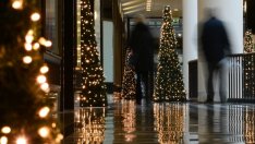 Срамът на германците роди бизнеса с коледни елхи под наем