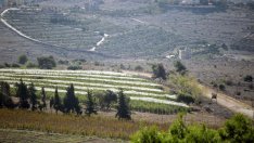 Израел е близо до пълномащабна война с "Хизбула" и Ливан, според външния министър на страната