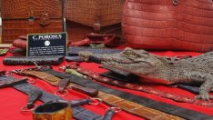 Крокодилската захапка, или защо чантите  Birkin са толкова скъпи