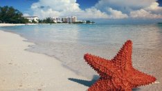 ЕС извади три страни от "черния списък" на данъчните убежища, но добави други три