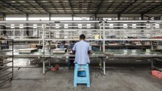 Заводската активност в Китай се завръща към растеж през септември