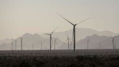 2021 г. е сред най-горещите години в историята