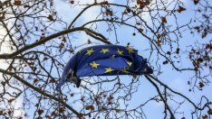 Еволюцията на ЕС – преследвне на благородна идея или адаптиране към реалността?