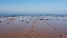 Наводненията в Гърция нанасят щети за милиарди евро