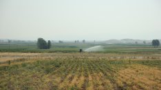 България ще търси временно решение за водите на Арда, преди да се договори с Гърция