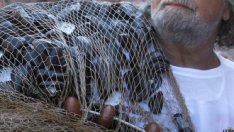 Италия набра 8,5 млрд. евро чрез емисия краткосрочни ДЦК при повишена доходност