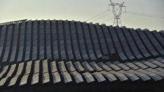 Дългият път към зеленото мислене