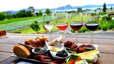 Близо 70 изби в България предлагат винено-кулинарен туризъм