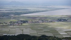 Земята в Япония поскъпва за втора поредна година заради ултраниските лихви на ЯЦБ