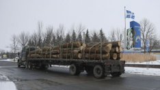 Еколози атакуват зелената таксономия на ЕК заради биомасата