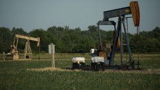 Петролът поевтинява с фокус върху Иран и заплахите на Тръмп за Гренландия*