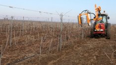 Българските изби търсят пазар за виното в Китай, Япония и САЩ